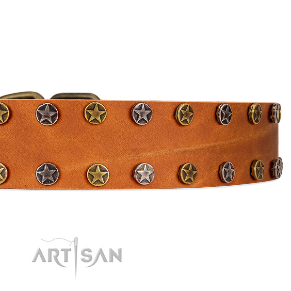 Perfectly Oiled Tan Leather Dog Collar with Stars