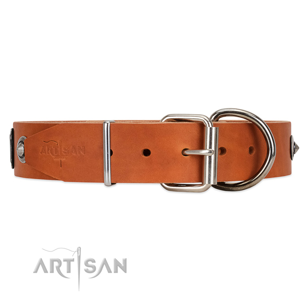 Walking Tan Dog Collar with Traditional Chrome-plated Buckle
