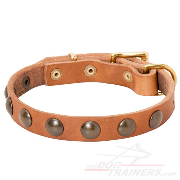 Fashionable Studded Leather Dog Collar