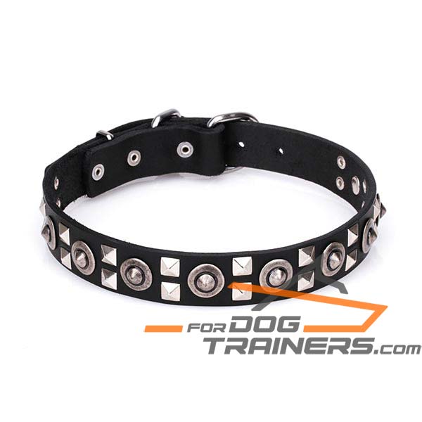 Decorated Leather Dog Collar with Strong Fittings