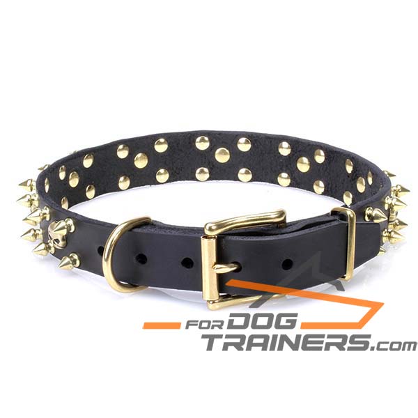 Stylish Dog Collar with D-ring for Leash Attachment
