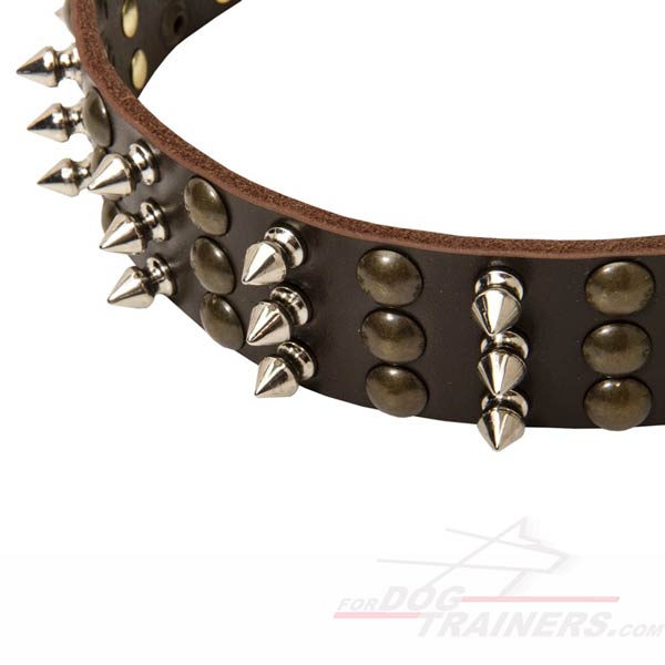 Decorated Leather Dog Collar