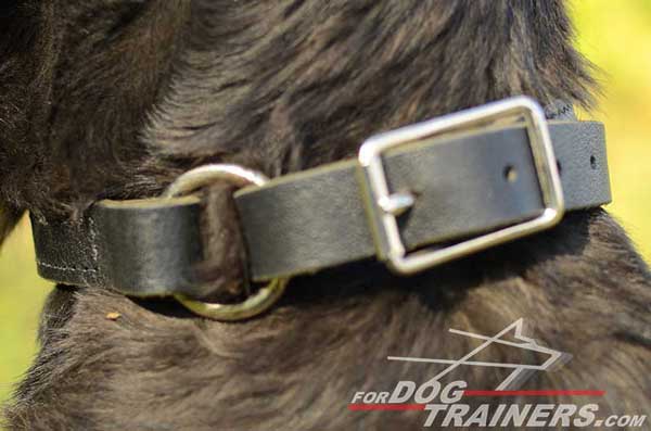 Corrosion Resistant Fittings of Leather Choke Dog Collar