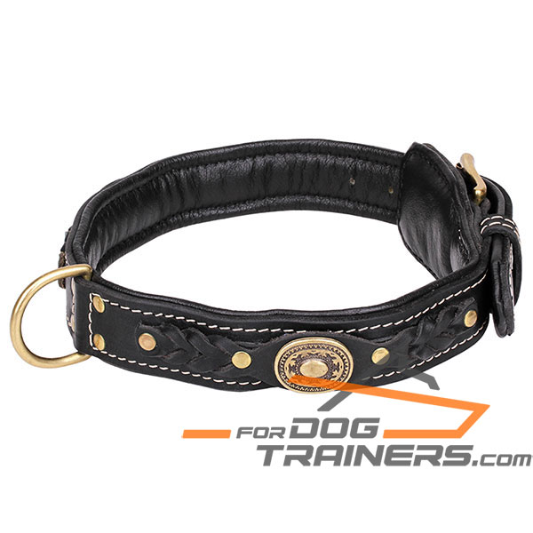 Adorned leather dog collar with black padding