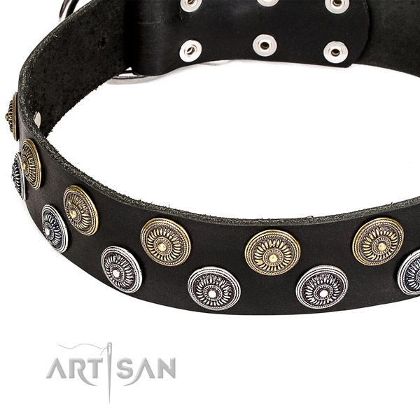 Adorned black dog collar made of natural leather