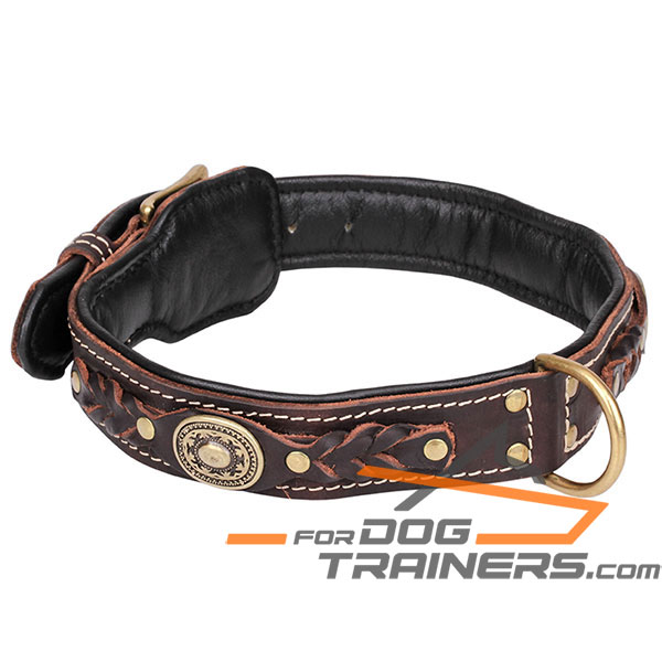 Adorned with brass studs brown leather dog collar