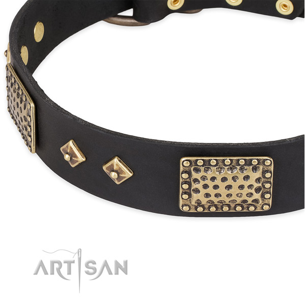 Adorned with plates and studs black leather dog collar