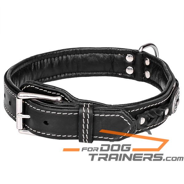 Black leather dog collar for walking