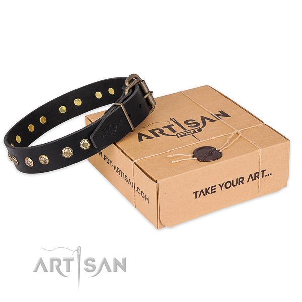 Studded black leather dog collar