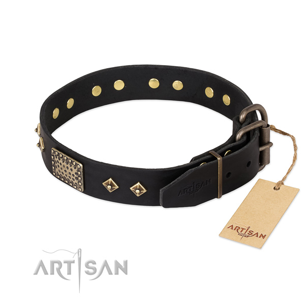 Black leather dog collar with old bronze-like plated fittings