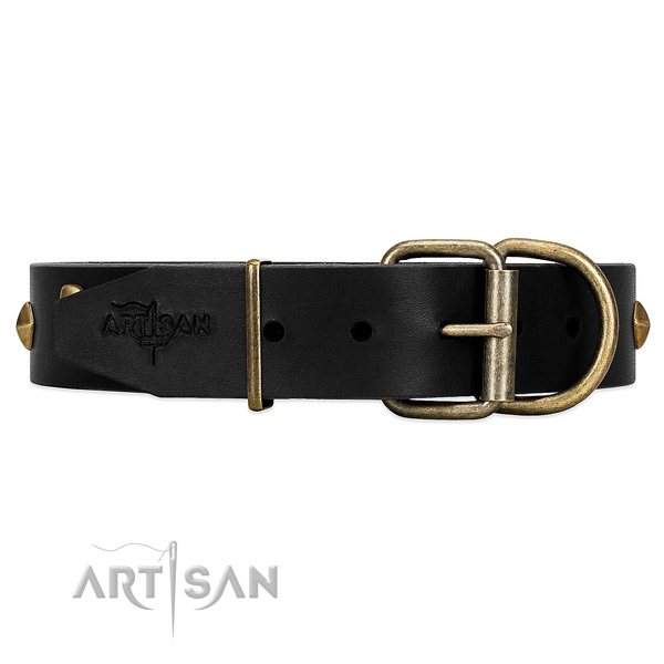 Black dog collar with super strong hardware