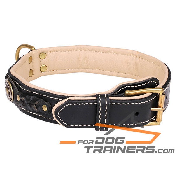 Black Leather dog collar with brass plated hardware