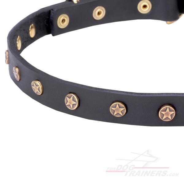 Leather dog collar with shiny brass adornment