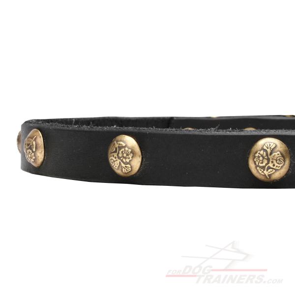 Leather dog collar with stamped brass adornment