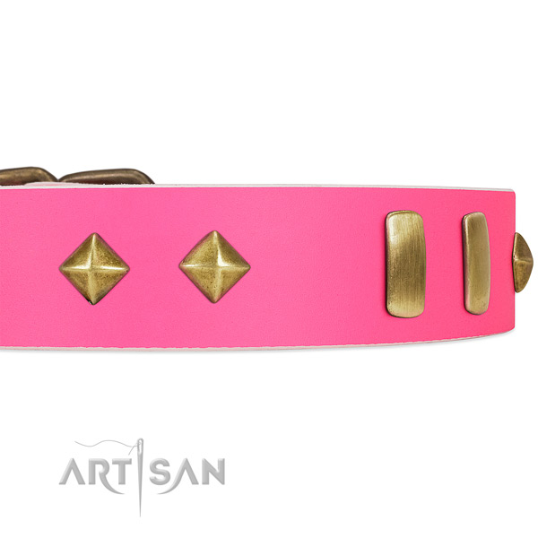 Unique pink leather dog collar with posh-looking plates and studs