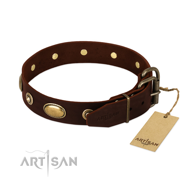 Designer Leather Dog Collar with Dependable Fittings
