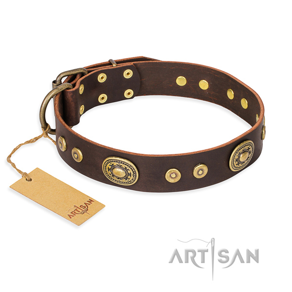 Good-looking brown leather dog collar with studs