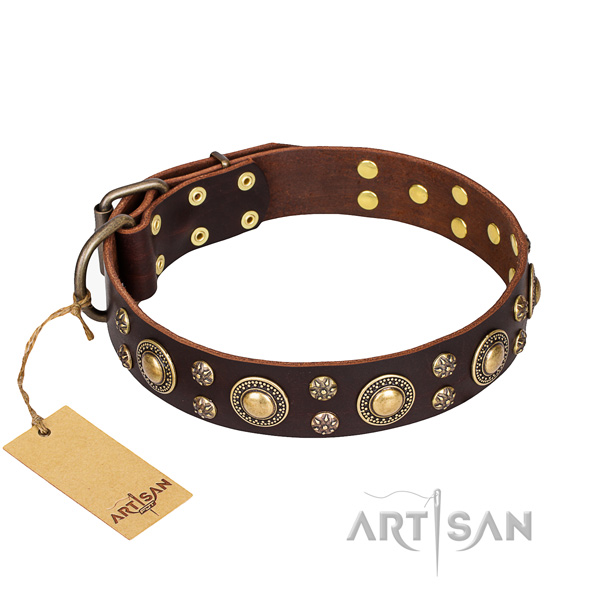 Adorned brown leather dog collar