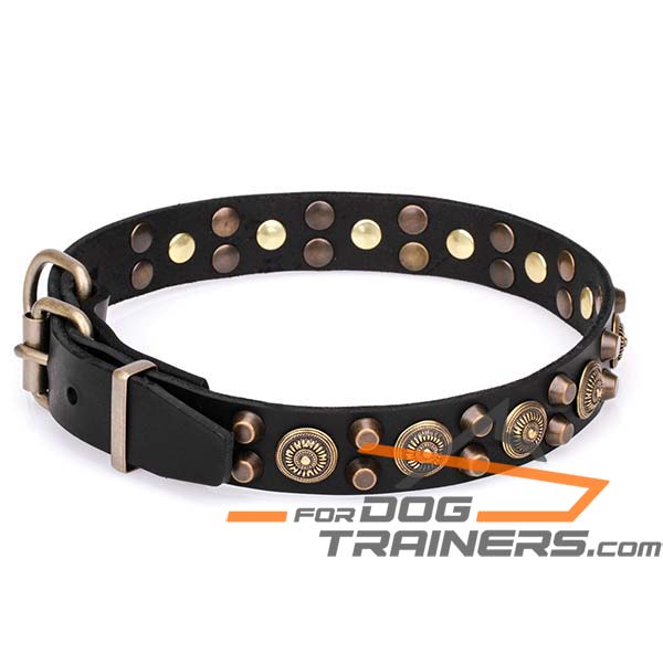 Stylish Dog Collar with Traditional Buckle