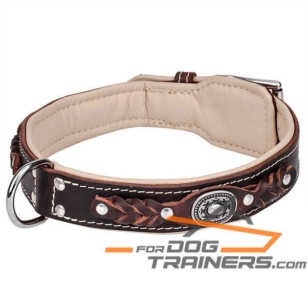 Adorned with studs brown leather dog collar