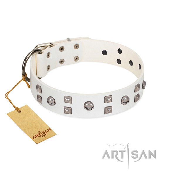 Stylish white leather dog collar with studs and skulls
