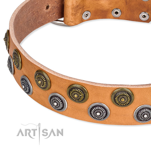 Handcrafted tan leather dog collar with firmly attached studs