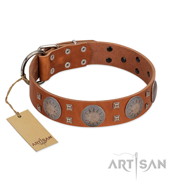 Stylish tan leather dog collar with round and square studs