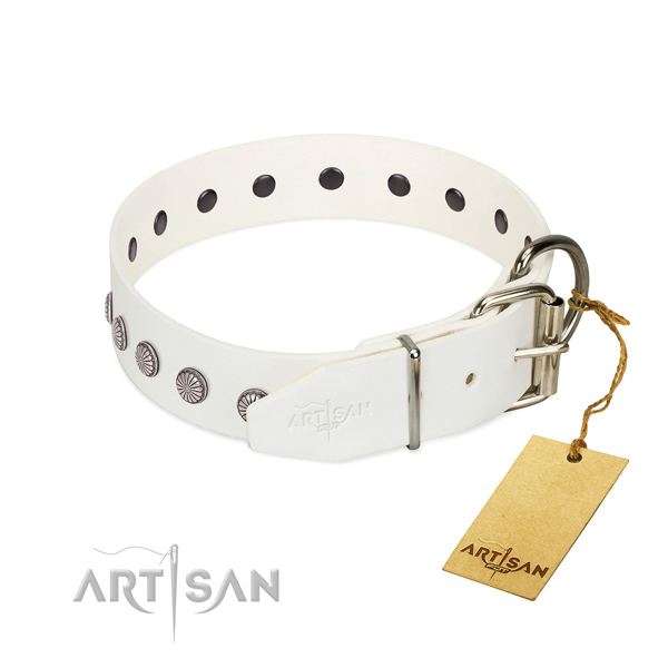 Designer leather dog collar with luxurious decorations