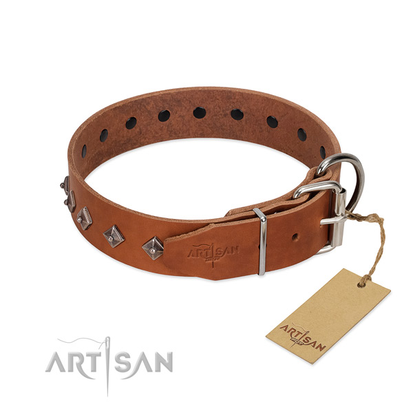 Comfy to wear leather dog collar with polished edges