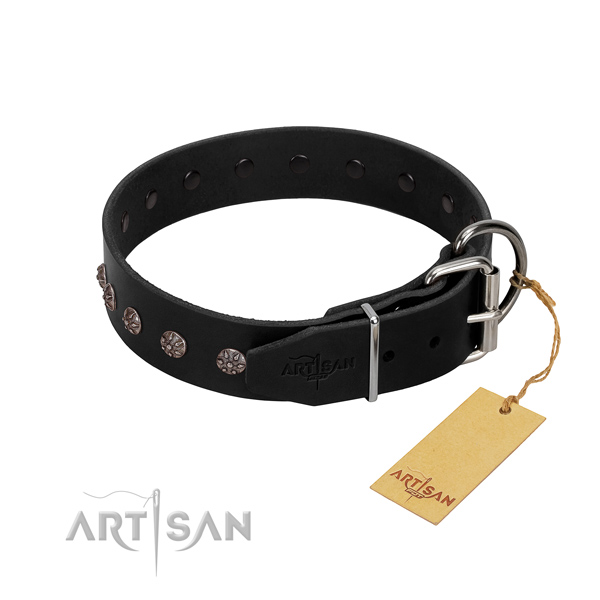 Comfortable leather dog collar for safe everyday walks