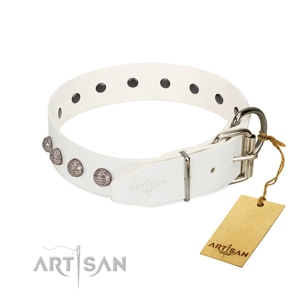 Reliable dog collar with chrome-plated hardware