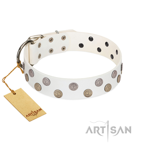 Decorated leather dog collar with exclusive brooches