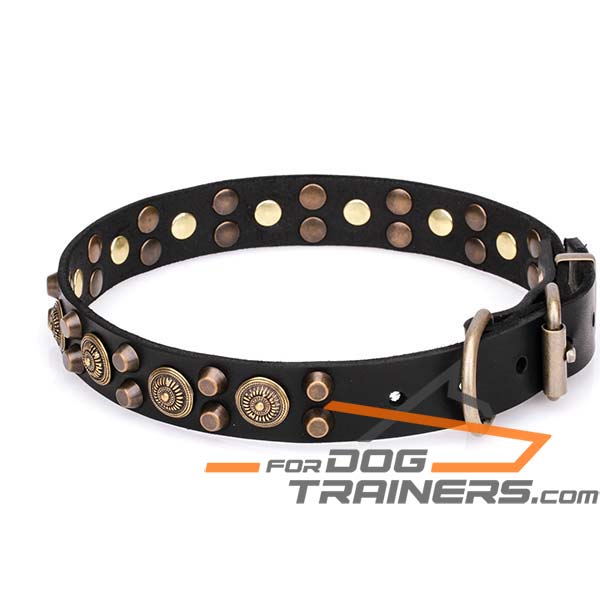 Stylish Dog Collar with Cones
