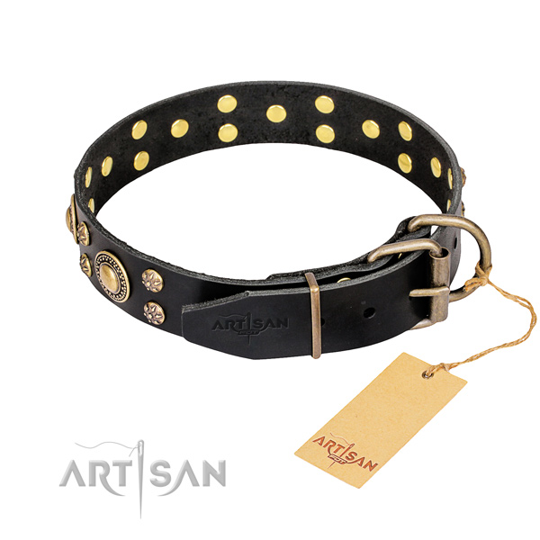 Black leather dog collar with old bronze-like plated fittings
