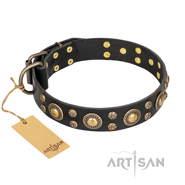 Black leather dog collar with rust-resistant studs
