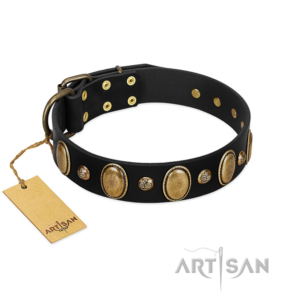 Extraordinary black leather dog collar with golden-like decorations
