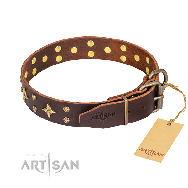 Reliable brown leather dog collar with sturdy hardware