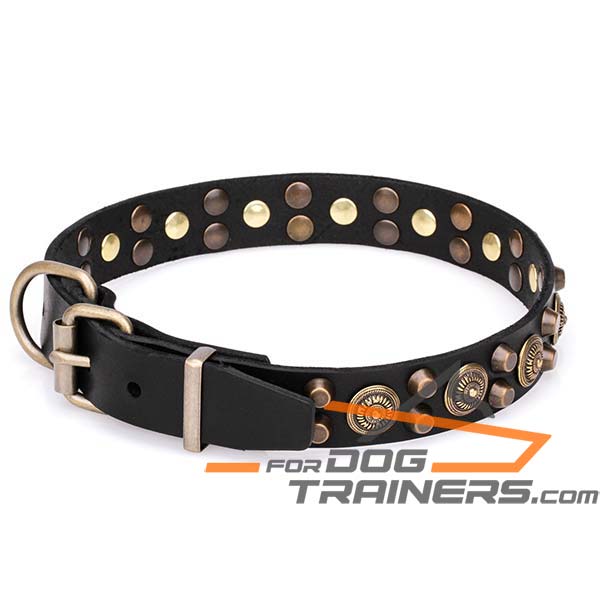 Stylish Dog Collar with Strong Hardware