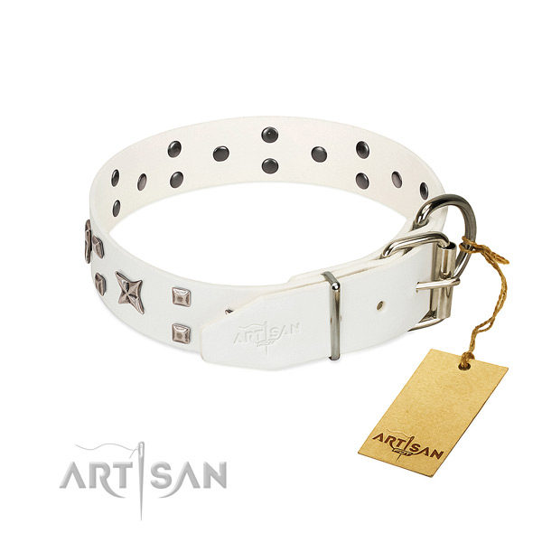Handselected genuine leather dog collar with strong fittings