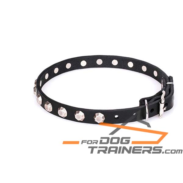 Leather dog collar with sturdy hardware