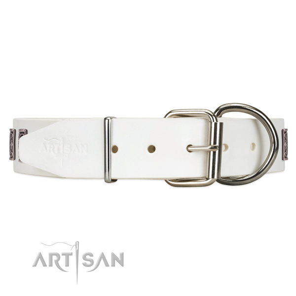 Wide leather dog collar with durable reinforced with rivets buckle