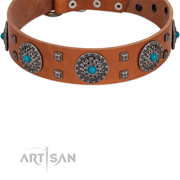 Leather dog collar with silver-like shields and studs