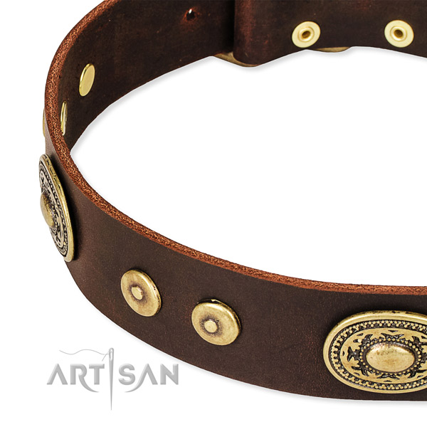 Leather dog collar with rounded edges