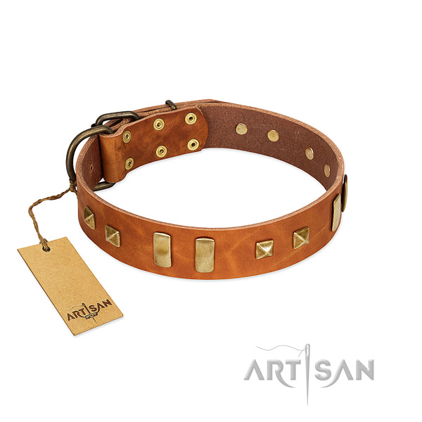 Designer tan leather dog collar with old bronze-like decorations