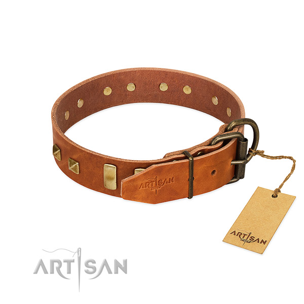 Long-servicing tan leather dog collar with durable fittings