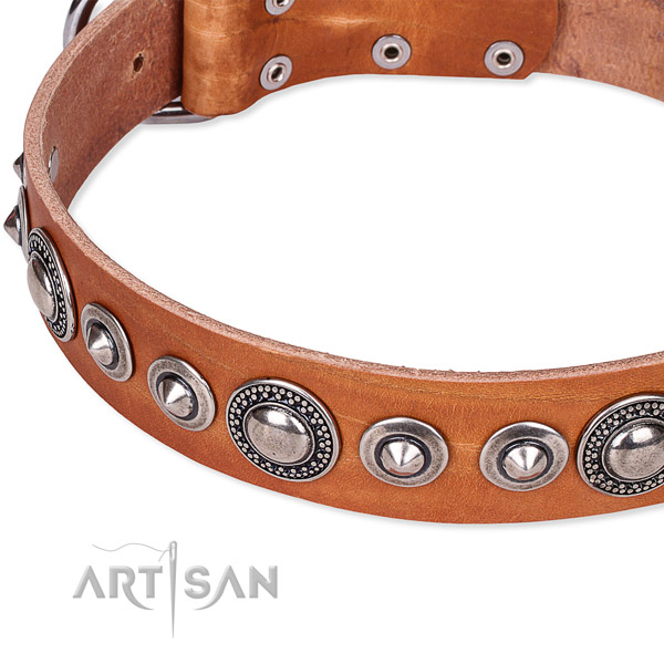 Tan leather dog collar with silver-like plated decorations