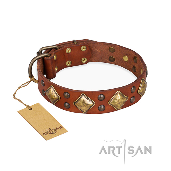 Tan leather dog collar with sparkling decorations
