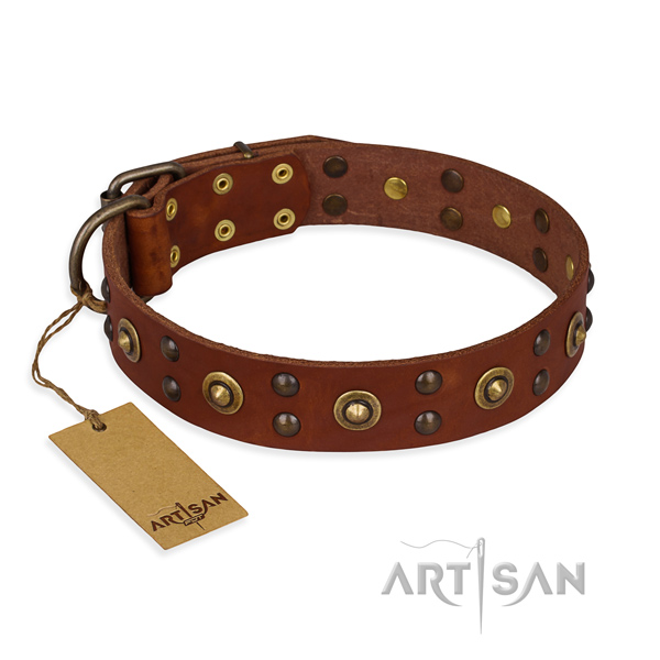 Tan leather dog collar with luxurious decorations