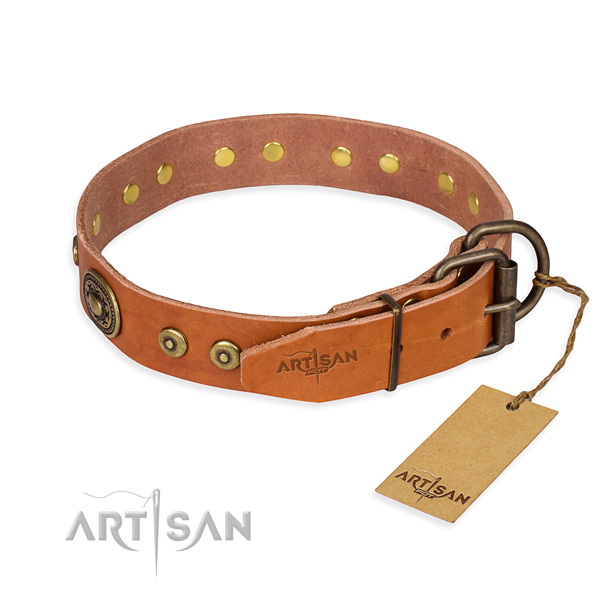 Tan leather dog collar reliable in use