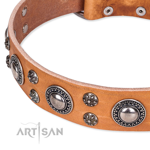Tan leather dog collar with smooth surface